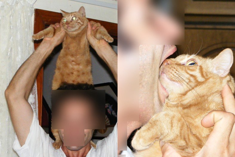 Nicholas Grech's pet carryied triumphantly on shoulders Nicholas Grech's pet carryied triumphantly on shoulders