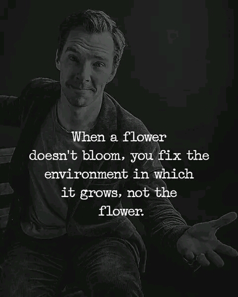 When flower doesn't bloom, fix its environment, not the flower