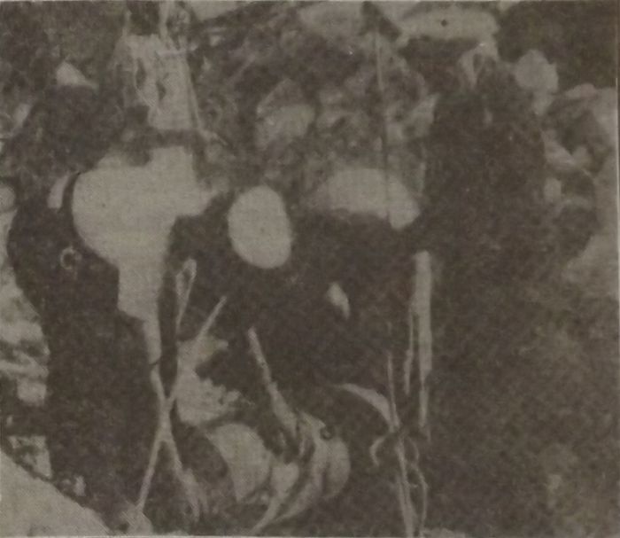 Bomba simili ghal dik li nifdet il-koppla li nstabet fl-1948 ftit passi mill-knisja
