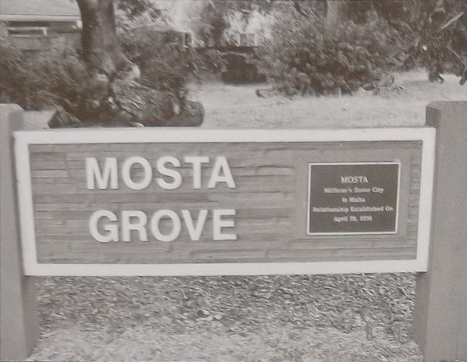 Mosta Grove f’Millbrae, San Francisco