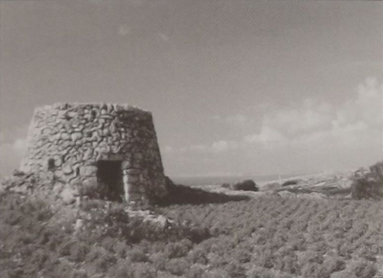 Girna kenn ghall-bidwi