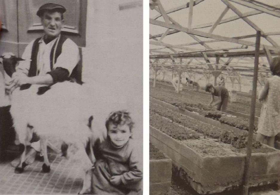 Bejjiegh tal-halib fil-Mosta u l-fabbrika tal-fjuri ta' Sparks fil-Mosta